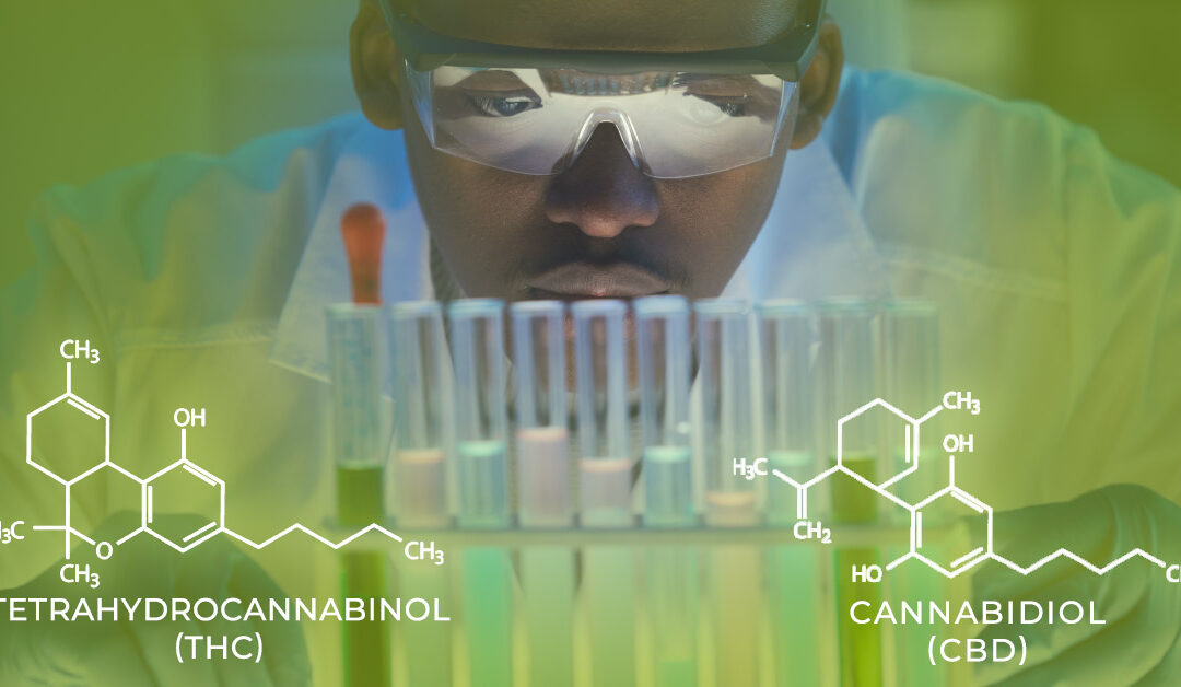 Your Marijuana Testing Lab Can Accept Credit and Debit Cards